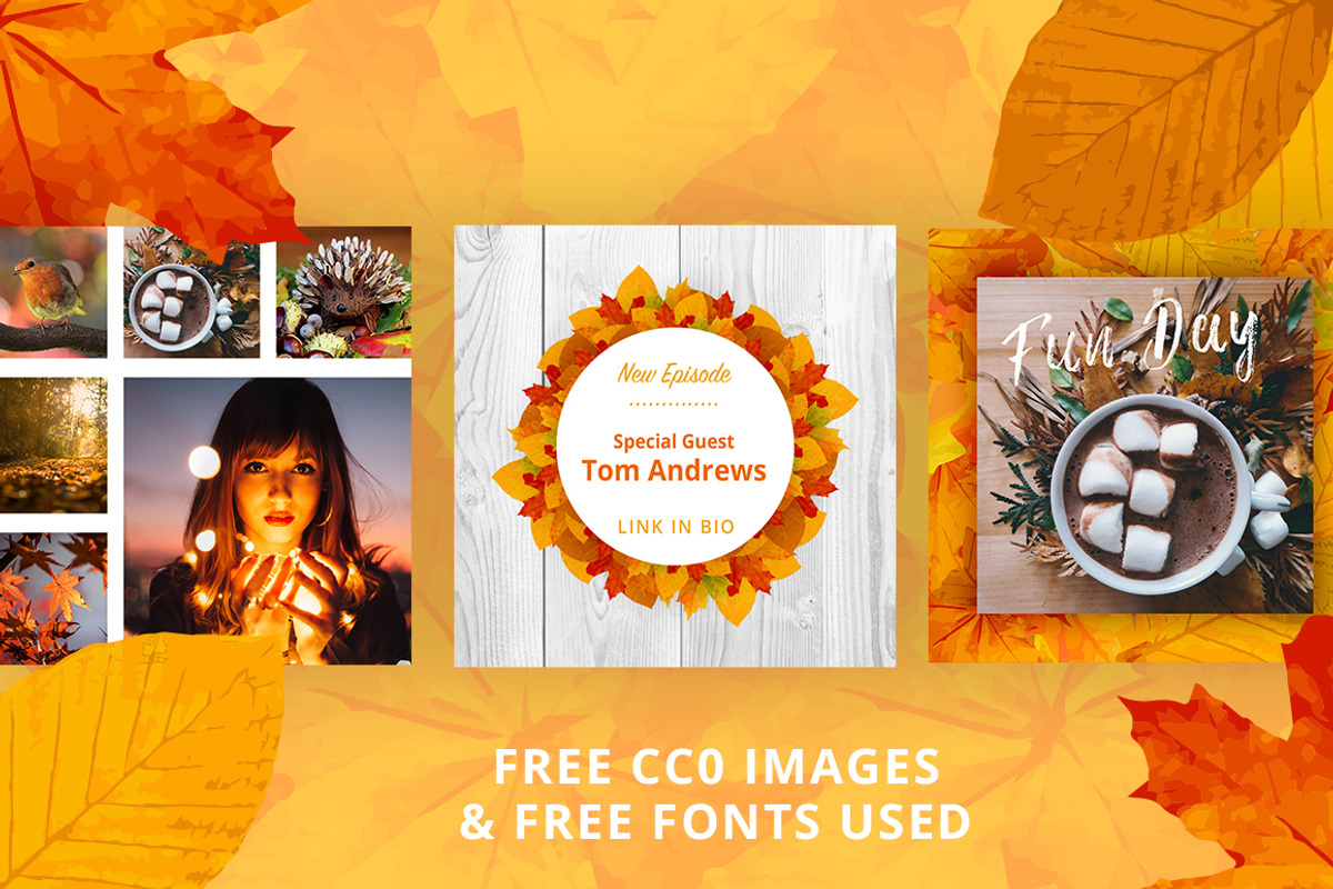 ANIMATED - Autumn Instagram Posts, a Social Media Template by Brandspark (Photo 5 of 9)