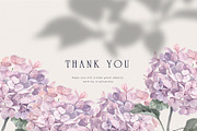 Hydrangea. Pencil and watercolor, an Illustration by Tilling (Thumbnail 5 of 5)