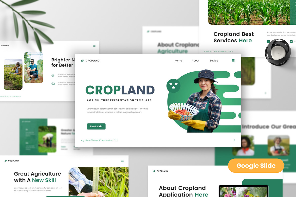 Cropland - Agriculture Google Slide, a Presentation Template by MtvtdArt (Photo 1 of 6)