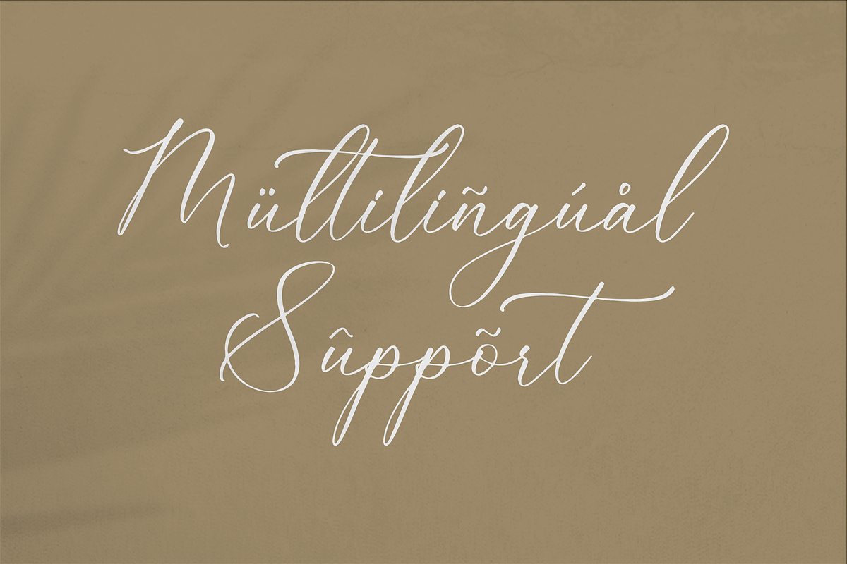 Alnetsia Montenela Luxury Script, a Script Font by Storytype Studio (Photo 12 of 15)