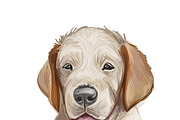 Dogs Cross Breeds 56 Animals Bundle, an Animal Illustration by Dneprstock (Thumbnail 17 of 55)