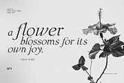 uFgiat75 Serif, a Serif Font by silukEight (Thumbnail 7 of 9)