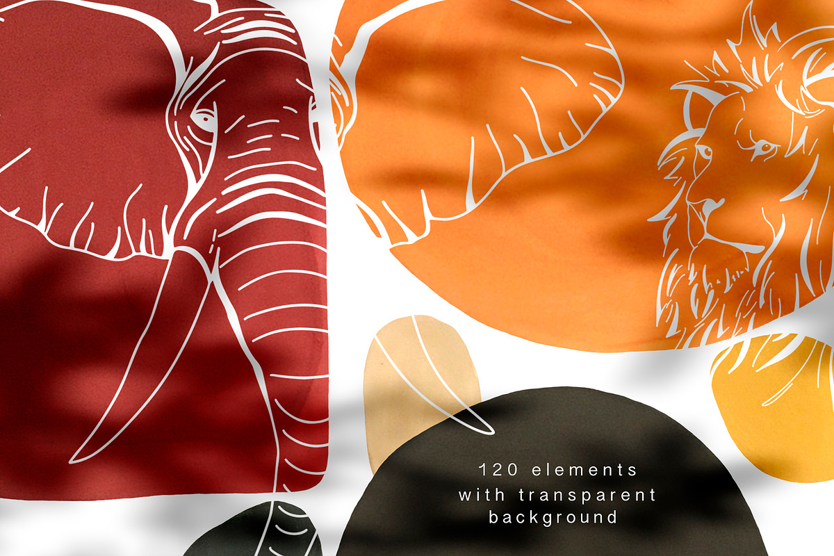 African animals. Line art collection, an Object Graphic by Vera●Suleimanova (Photo 7 of 16)