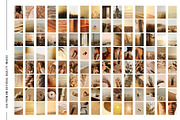 Golden Shore | 240 Stock Images, a Nature Photo by Tale.Haus (Thumbnail 14 of 19)