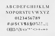 Arterio Font Family - Serif, a Serif Font by RC graphics (Thumbnail 2 of 9)