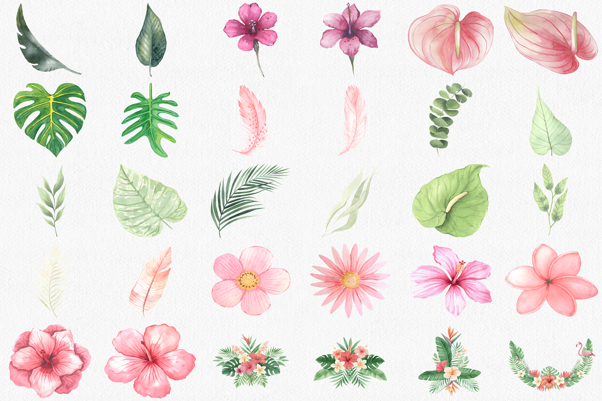 Watercolor Flamingo Clipart Set, an Animal Illustration by CropUp Creative (Photo 3 of 4)