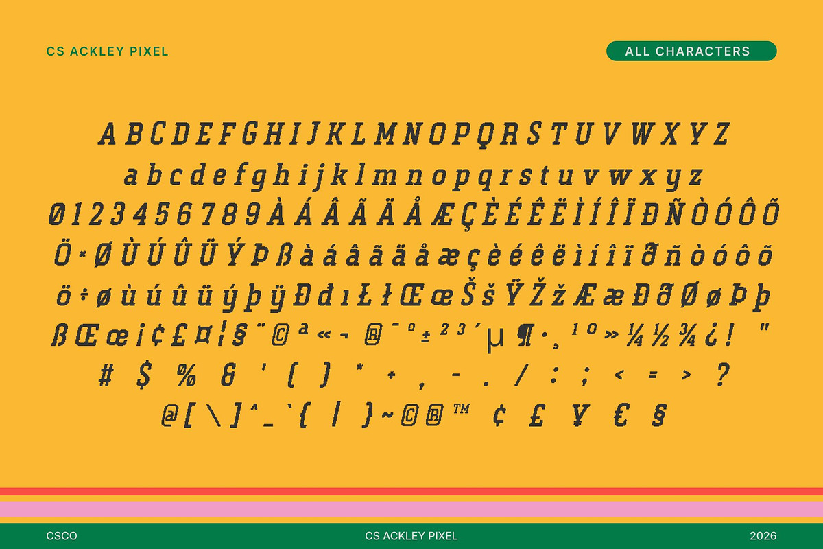 CS Ackley Pixel, a Slab Serif Font by Craft Supply Co. (Photo 8 of 8)