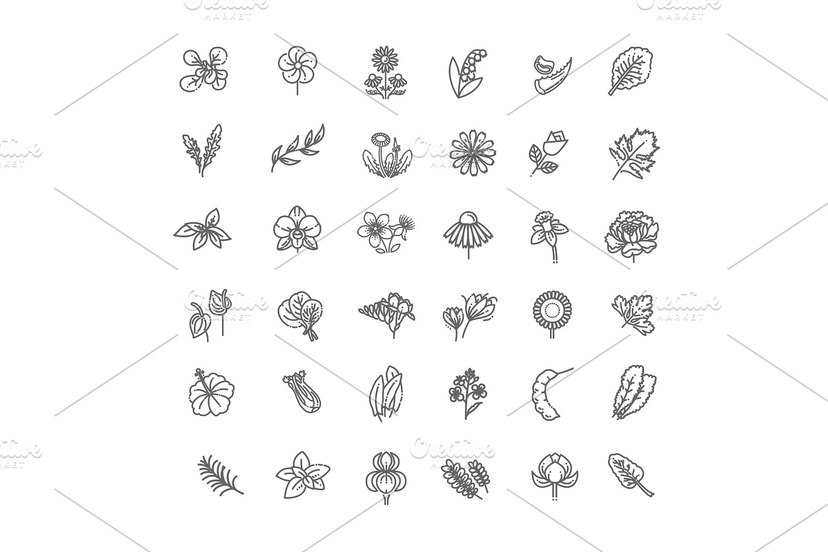 Set of flowers and herbs icons, an Object Illustration by Tettygreen