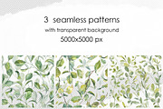Botany watercolor PNG set, an Object Graphic by Dashamoony (Thumbnail 4 of 4)