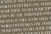 Fanlste Ligature Typeface Font, a Serif Font by Storytype Studio (Thumbnail 6 of 13)