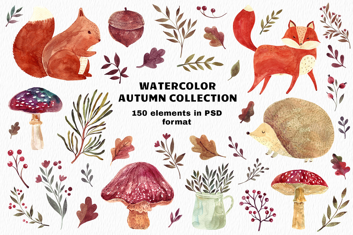 Watercolor autumn collection, an Animal Illustration by MoleskoStudio (Photo 1 of 10)