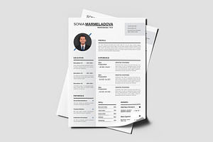 Clean Resume CV Template