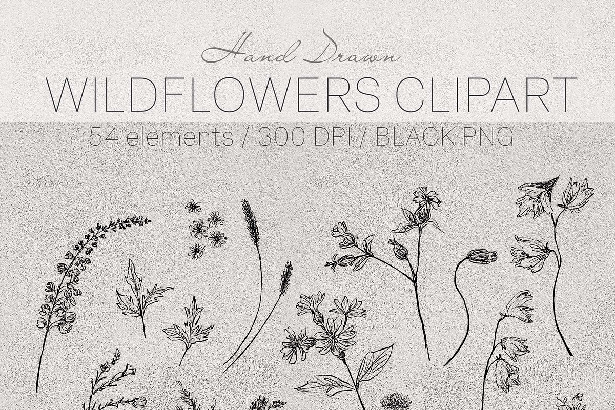 wildflowers clipart, a Decorative Illustration by JULIA x JULIE's ART (Photo 4 of 5)