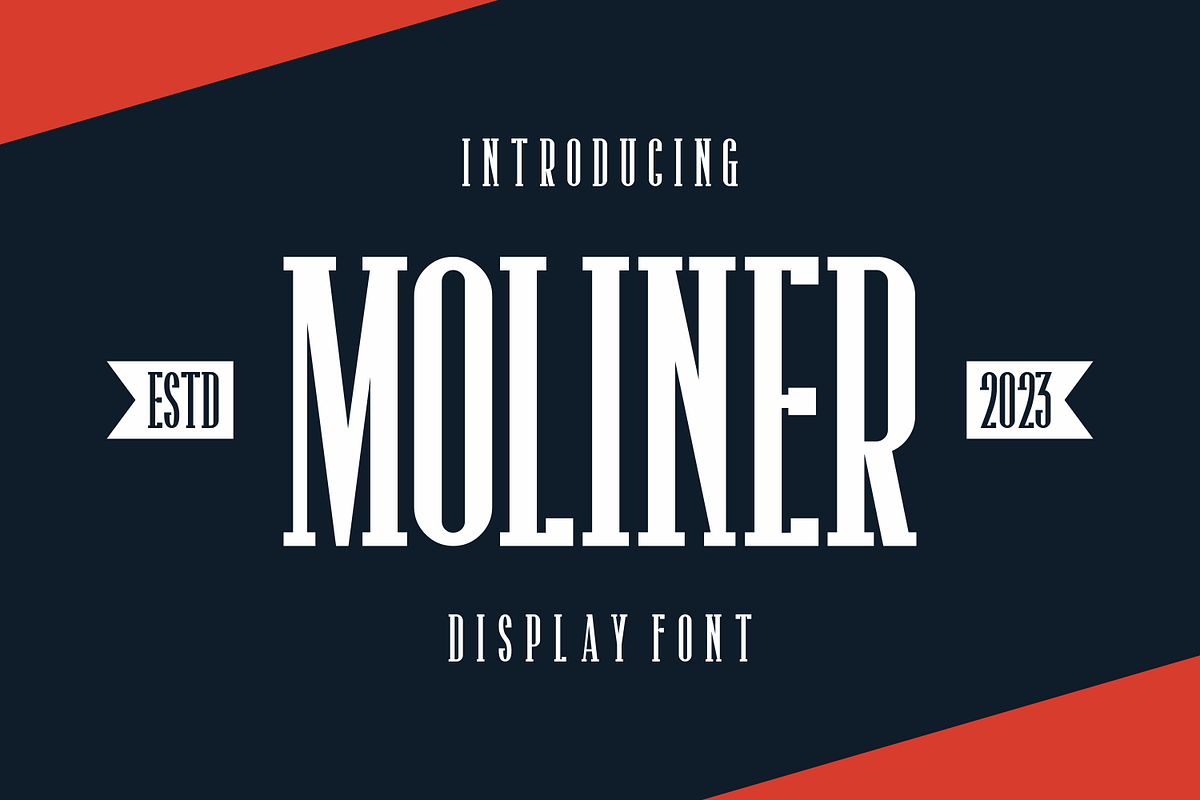 Moliner, a Serif Font by lelevien (Photo 3 of 5)