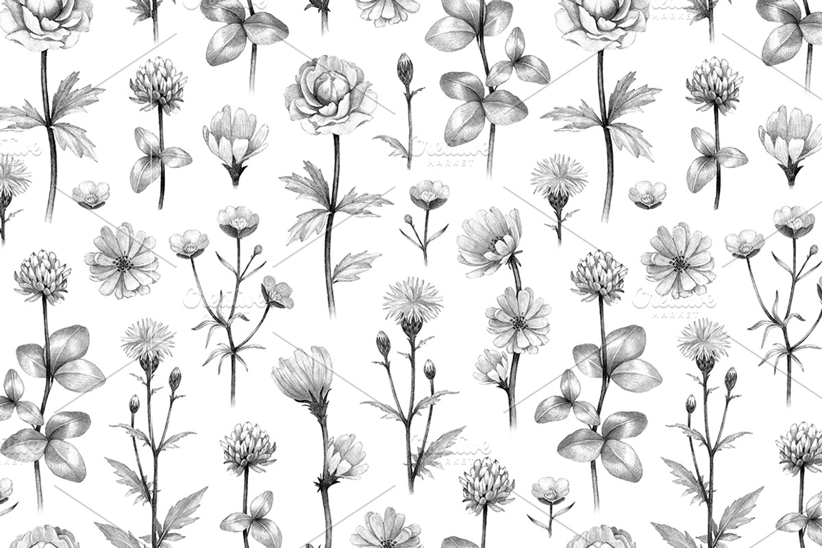 Wild flora. Drawings and patterns, a Pattern Graphic by Sundra (Photo 7 of 12)