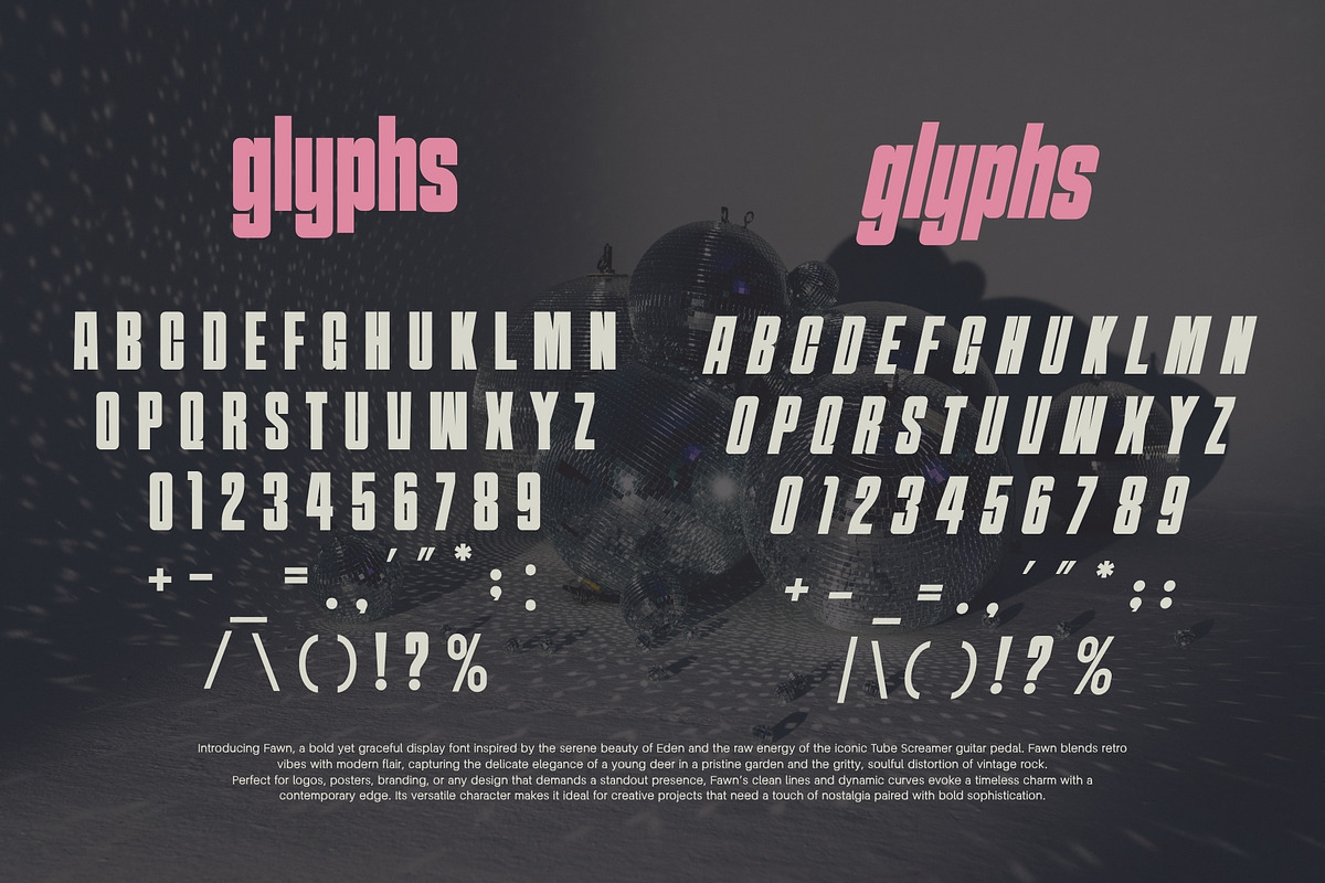 FAWN MODERN DISPLAY SAN SERIF FONT, a Sans Serif Font by BURSTYPE (Photo 6 of 9)