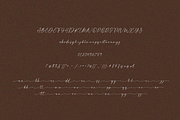 Adoraline Script Calligraphy Font, a Script Font by Pen Culture (Thumbnail 9 of 11)