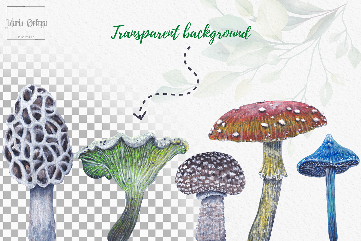 Watercolor and gouache Mushrooms, an Illustration by MariaOrtegaDigitals (Photo 2 of 6)