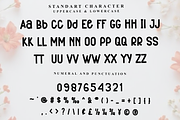ANASTASIA, a Serif Font by FreshTypeINK (Thumbnail 4 of 8)