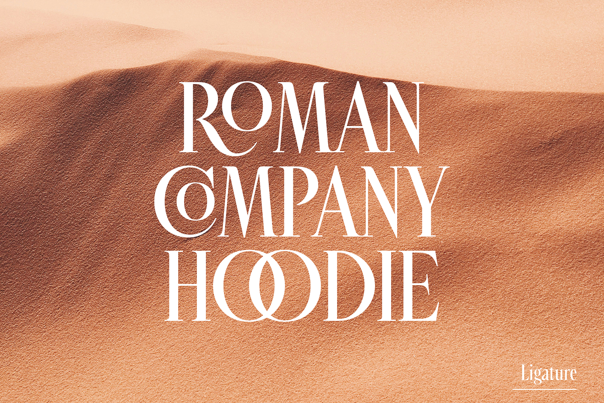 Roisin, a Serif Font by Muhammad Hastian (Photo 8 of 10)