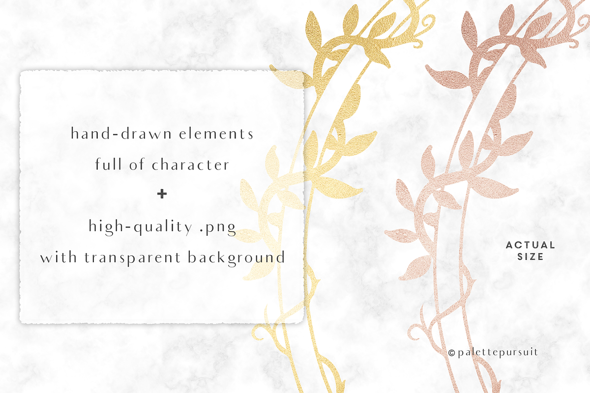 Gold & Rose Gold Circle Frames, an Object Graphic by Palette Pursuit (Photo 4 of 7)