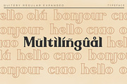 Quitery Serif Typeface Family, a Serif Font by Say Studio (Thumbnail 6 of 13)