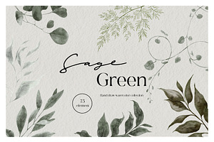 Sage Green. Watercolor Graphic