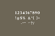 Pollinator Display Serif Font, a Serif Font by UICreative (Thumbnail 11 of 12)
