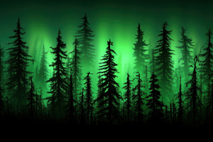 Panoramic view of black forest, a Photo by Pavel_design