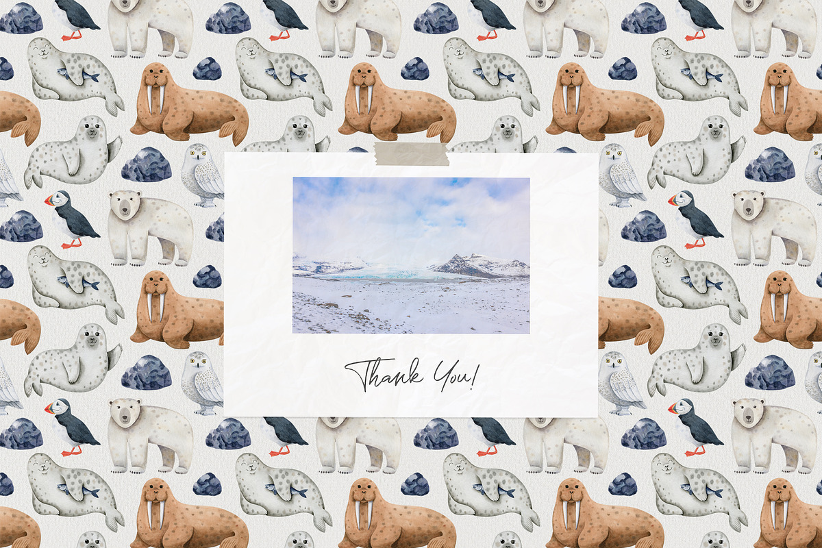 Northern Sea Watercolor Set, an Animal Illustration by Natalia Fedorova (Photo 16 of 16)
