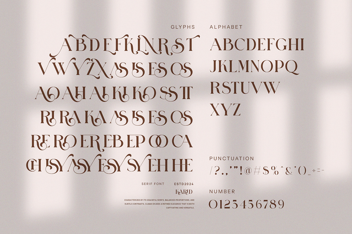 Karid Elegant Serif Font, a Serif Font by Perfectype (Photo 7 of 8)