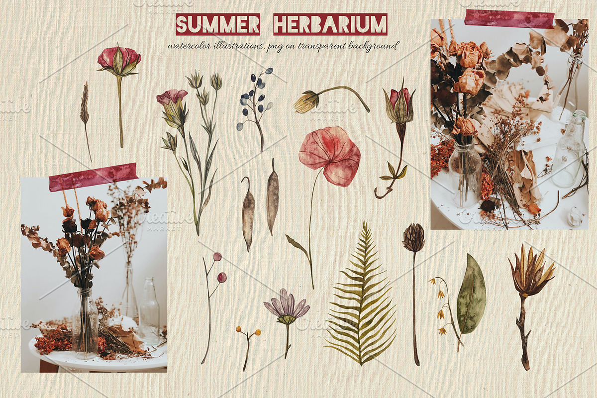Endless summer. Watercolor set, an Illustration by Scarlet Heath Art (Photo 2 of 18)