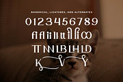 Elhave Luxury Serif Font, a Serif Font by Artiveko (Thumbnail 4 of 7)