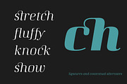 Curve, a Serif Font by fontador (Thumbnail 4 of 8)