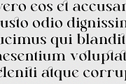 Keira Serif | Simple Elegant Font, a Serif Font by Youthlabs Studio (Thumbnail 13 of 20)