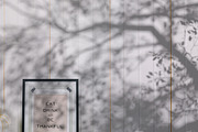 Plant Shadow Backdrops Video Bundle, a Mockup by rebrandy (Thumbnail 20 of 24)