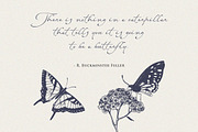 Netherfield | A Classic Script, a Handwritten Font by Ef Studio (Thumbnail 5 of 10)