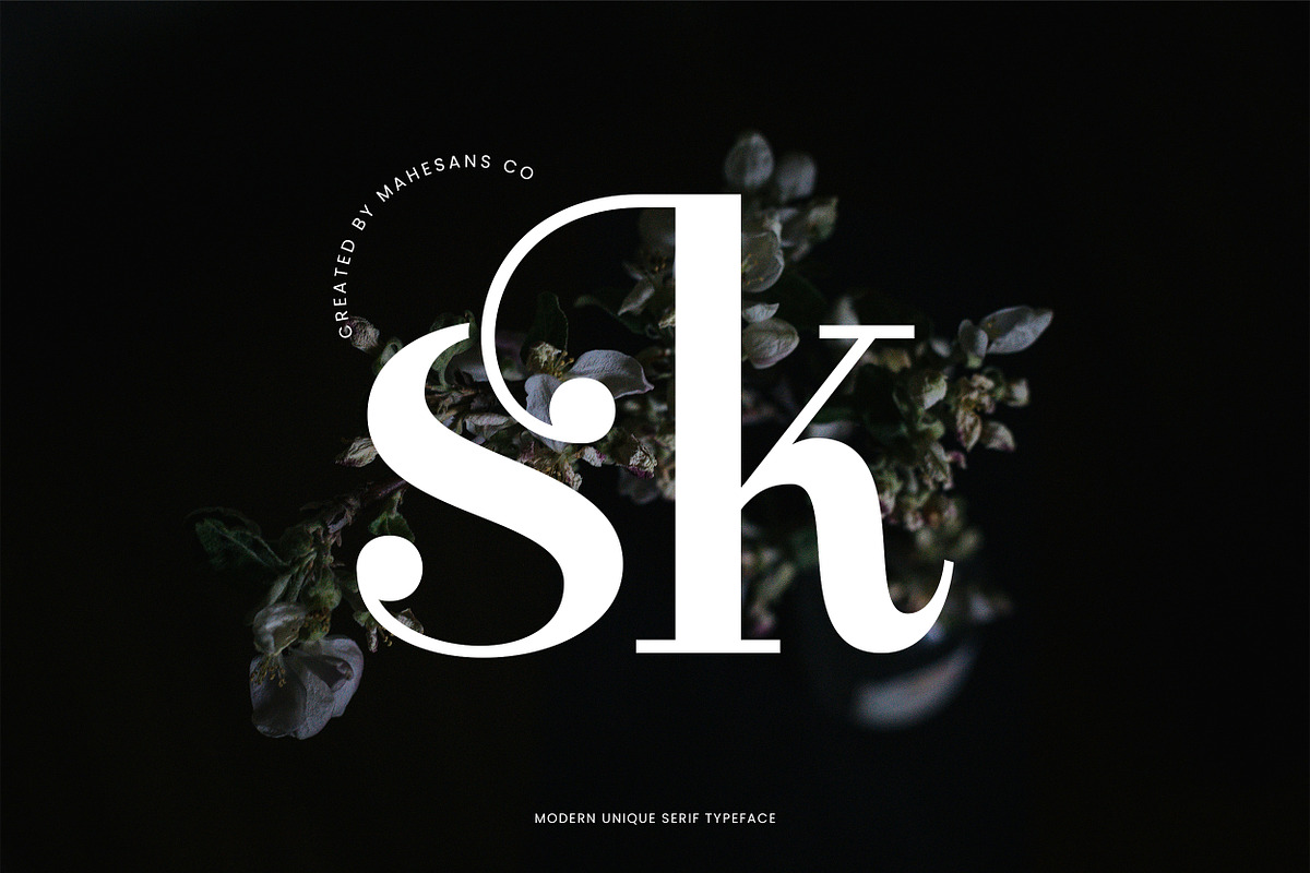 Clarita | Modern Unique Serif, a Serif Font by Mahesans Co (Photo 2 of 10)