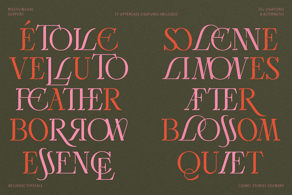 Bellrose Display Serif Font, a Serif Font by CarmineType (Photo 18 of 24)