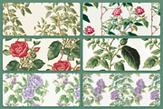 Floral Patterns, a Pattern Graphic by Unio Designs (Thumbnail 5 of 12)