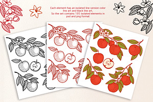 Orchard Illustration Set