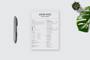 Sleek & Stylish Resume Design