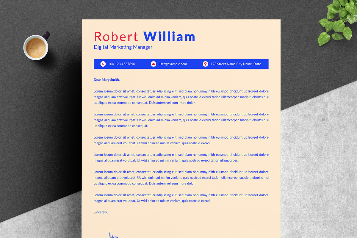 Timeline Resume with Visual Elements preview 3
