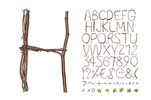 Twigs Font