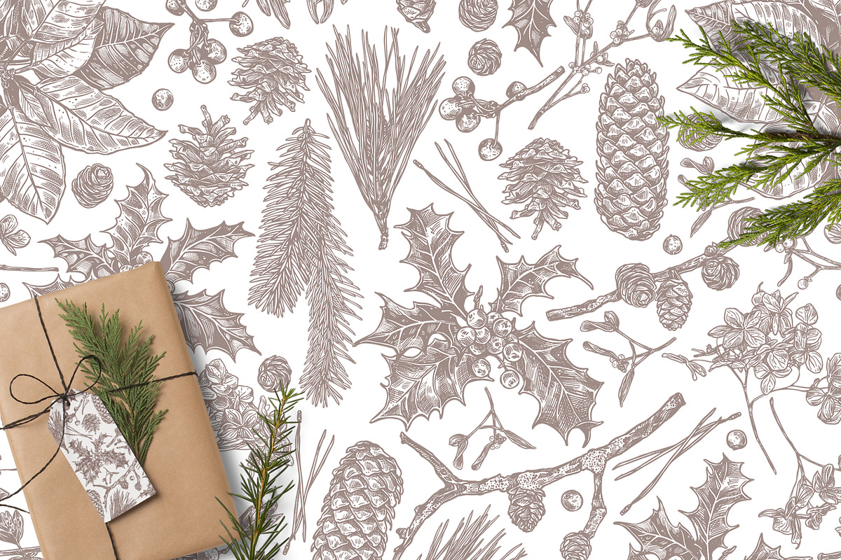 Christmas Botany, a Decorative Illustration by alexrockheart (Photo 7 of 7)