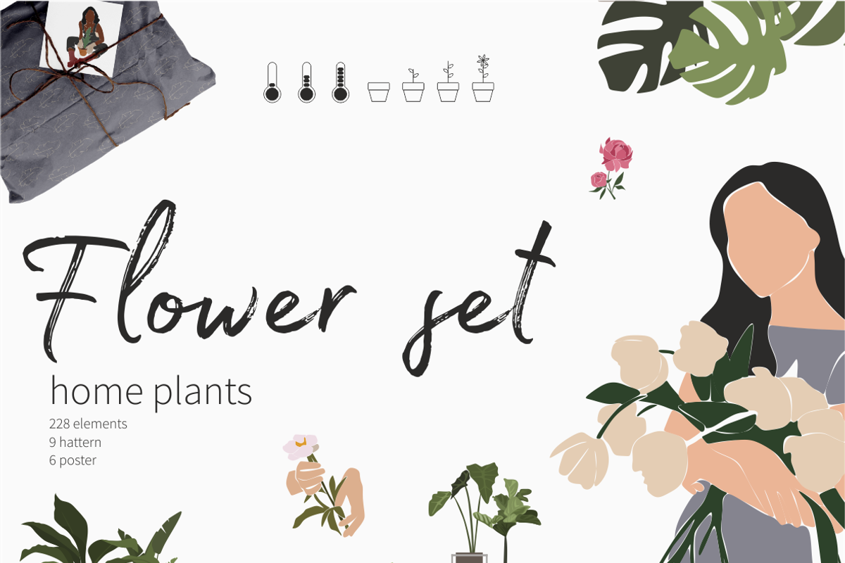 Flower collection, home plants, a Decorative Illustration by Yana_mide (Photo 1 of 10)