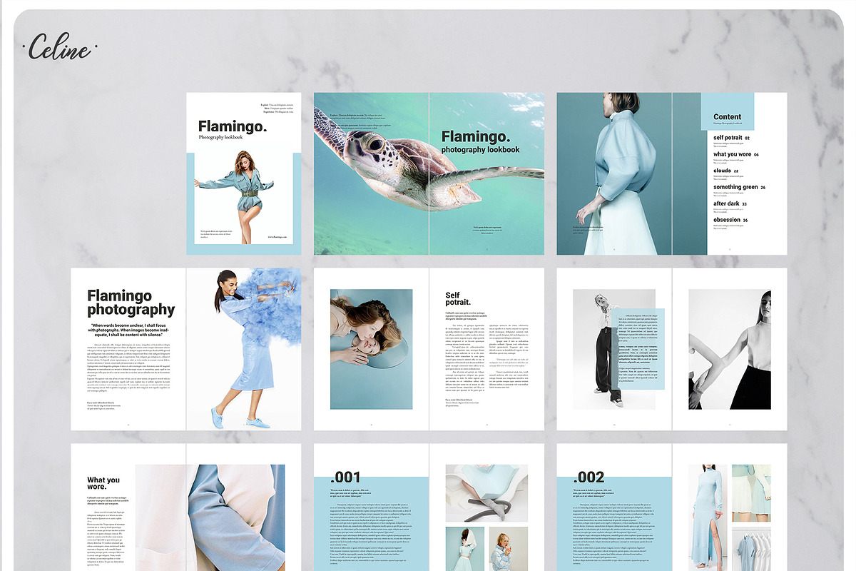FLAMINGO Lookbook Template, a Magazine Template by Celine Studio (Photo 9 of 9)