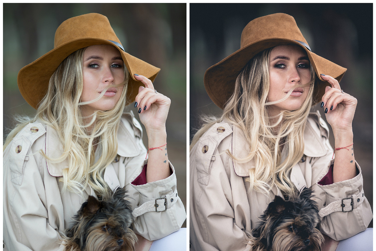 Mobile Lightroom Presets Gray tones, a Preset Add-On by 4presets (Photo 5 of 10)