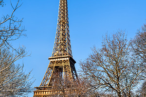 Eiffel Tower in winter with snow covered trees under blue sky, an Architecture Photo by Leonid Andronov