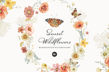 Sunset Wildflowers Delicate Flora